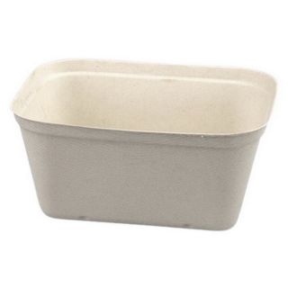 Eco-Friendly Punnet for Fresh Produce - Plastic-Free and Durable